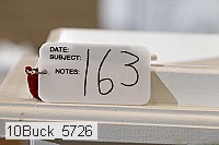 10buck_5726 proof