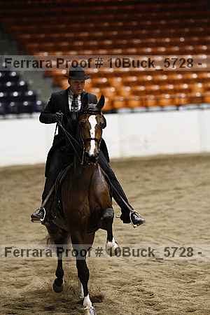 Proof 10buck_5728