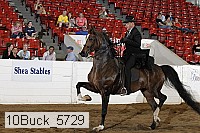 10buck_5729 proof