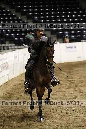 Proof 10buck_5733