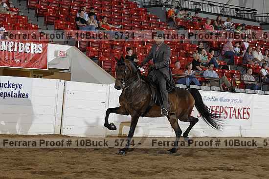 Proof 10buck_5734