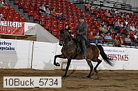 10buck_5734 proof