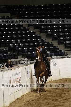Proof 10buck_5736