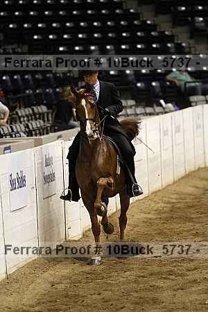 Proof 10buck_5737