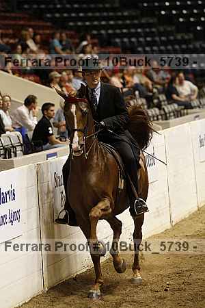 Proof 10buck_5739