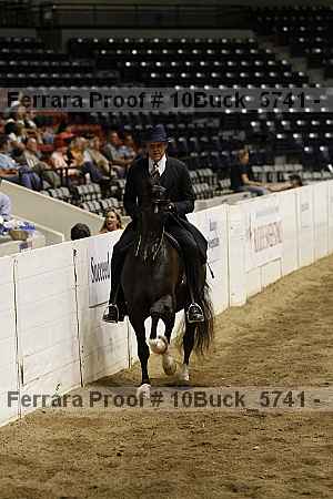 Proof 10buck_5741