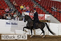 10buck_5743 proof