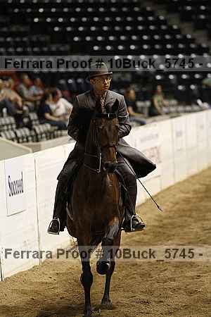Proof 10buck_5745