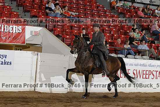 Proof 10buck_5746