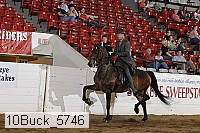 10buck_5746 proof