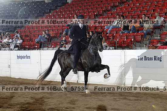 Proof 10buck_5753
