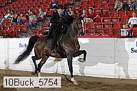 10buck_5754 proof