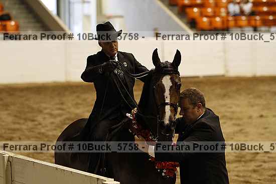 Proof 10buck_5758