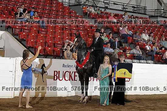 Proof 10buck_5760