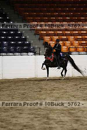 Proof 10buck_5762