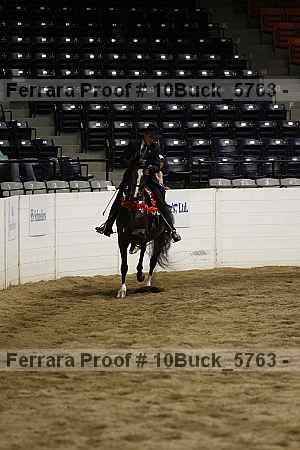 Proof 10buck_5763
