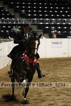 Proof 10buck_5764