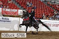10buck_5766 proof