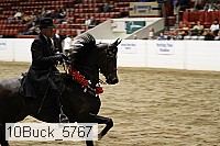 10buck_5767 proof