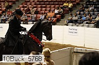 10buck_5768 proof
