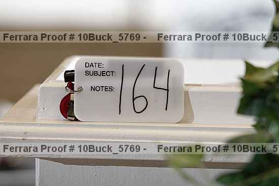 Proof 10buck_5769