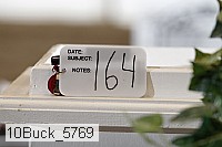 10buck_5769 proof