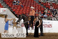10buck_5775 proof