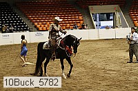10buck_5782 proof