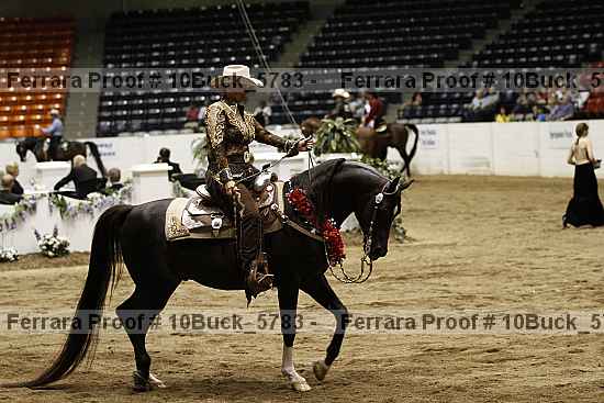 Proof 10buck_5783