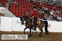 10buck_5786 proof