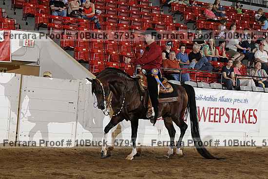 Proof 10buck_5795
