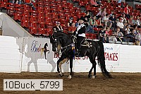 10buck_5799 proof