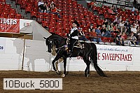 10buck_5800 proof