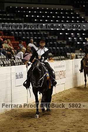 Proof 10buck_5802