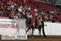 10buck_5816 proof