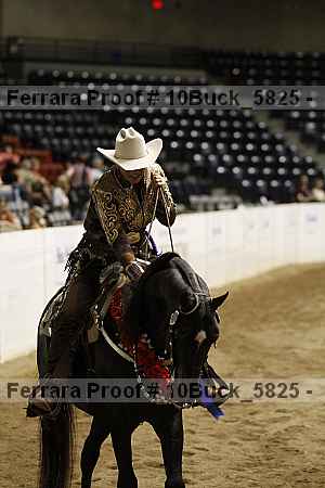Proof 10buck_5825