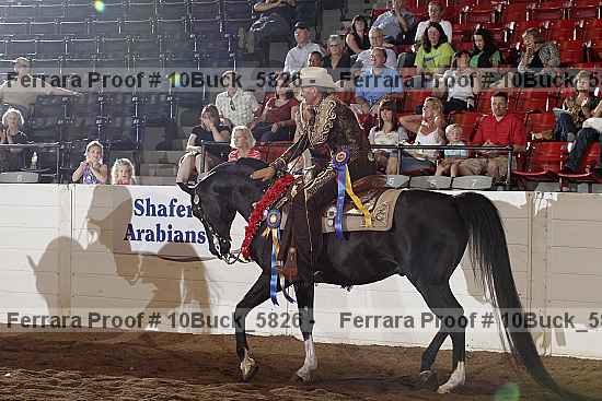 Proof 10buck_5826