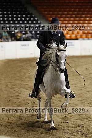 Proof 10buck_5829