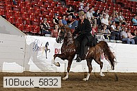 10buck_5832 proof