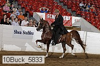 10buck_5833 proof