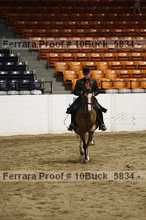 Proof 10buck_5834