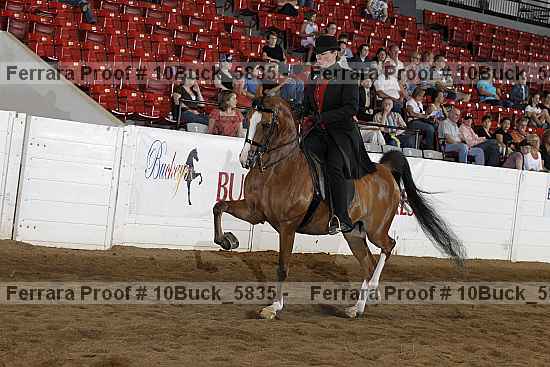 Proof 10buck_5835