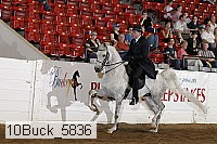 10buck_5836 proof
