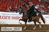 10buck_5837 proof
