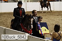 10buck_5842 proof