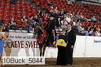 10buck_5844 proof