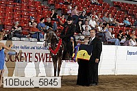 10buck_5845 proof
