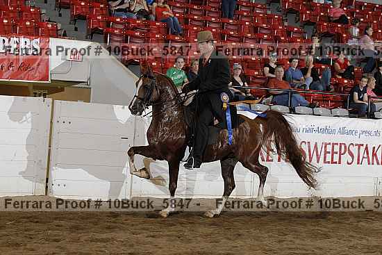 Proof 10buck_5847