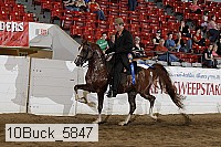 10buck_5847 proof