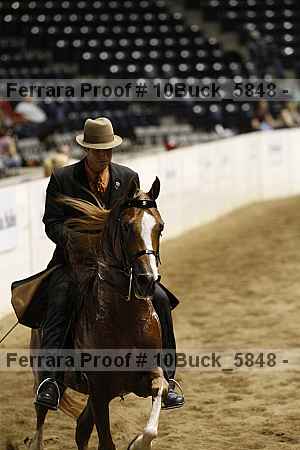 Proof 10buck_5848